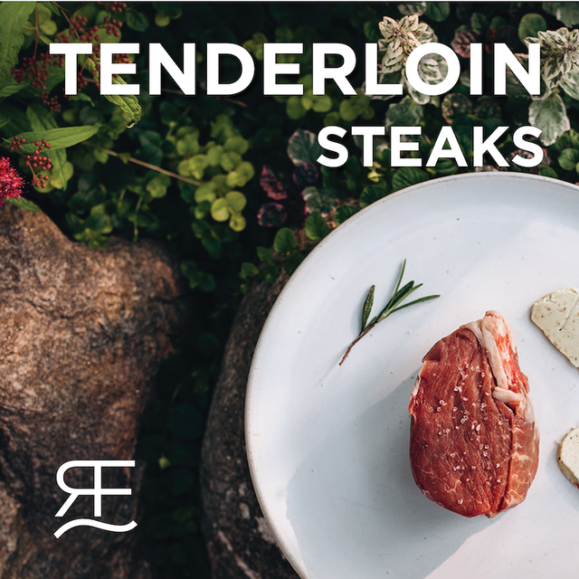 希少 TENDERLOIN B.D SHT S/S PRINT BLUE M 希少 TENDERLOIN B.D SHT S/S PRINT BLUE M 希少 TENDERLOIN B.D